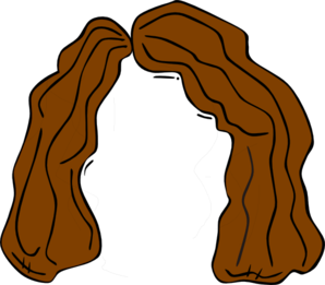 Brown Hair Outline Clip Art - vector clip art online ...