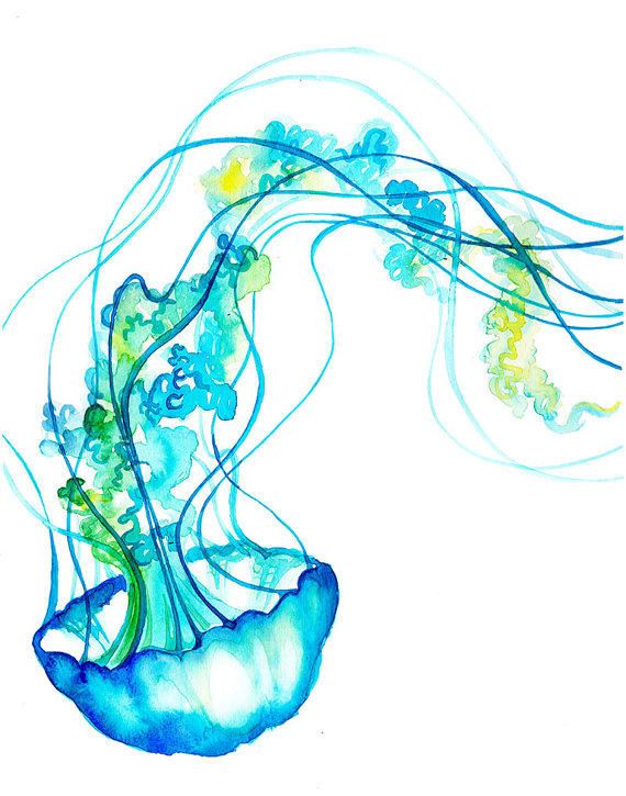 Jellyfish Drawing | Jellyfish ...