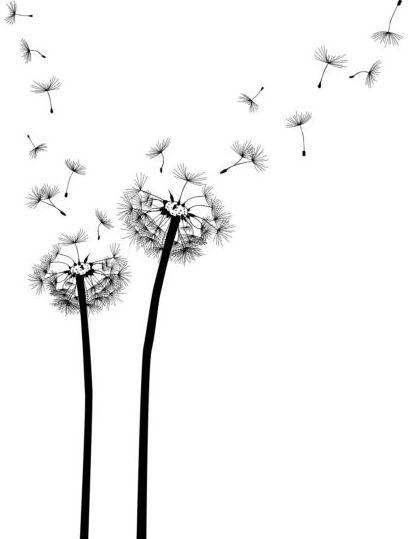 Dandelion black vector illustration 01 - Vector Plant free download