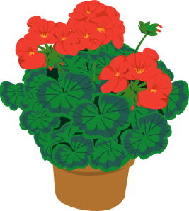 Geranium In Pot Clip Art - vector clip art online ...