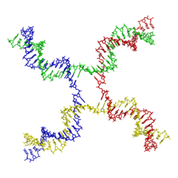 DNA