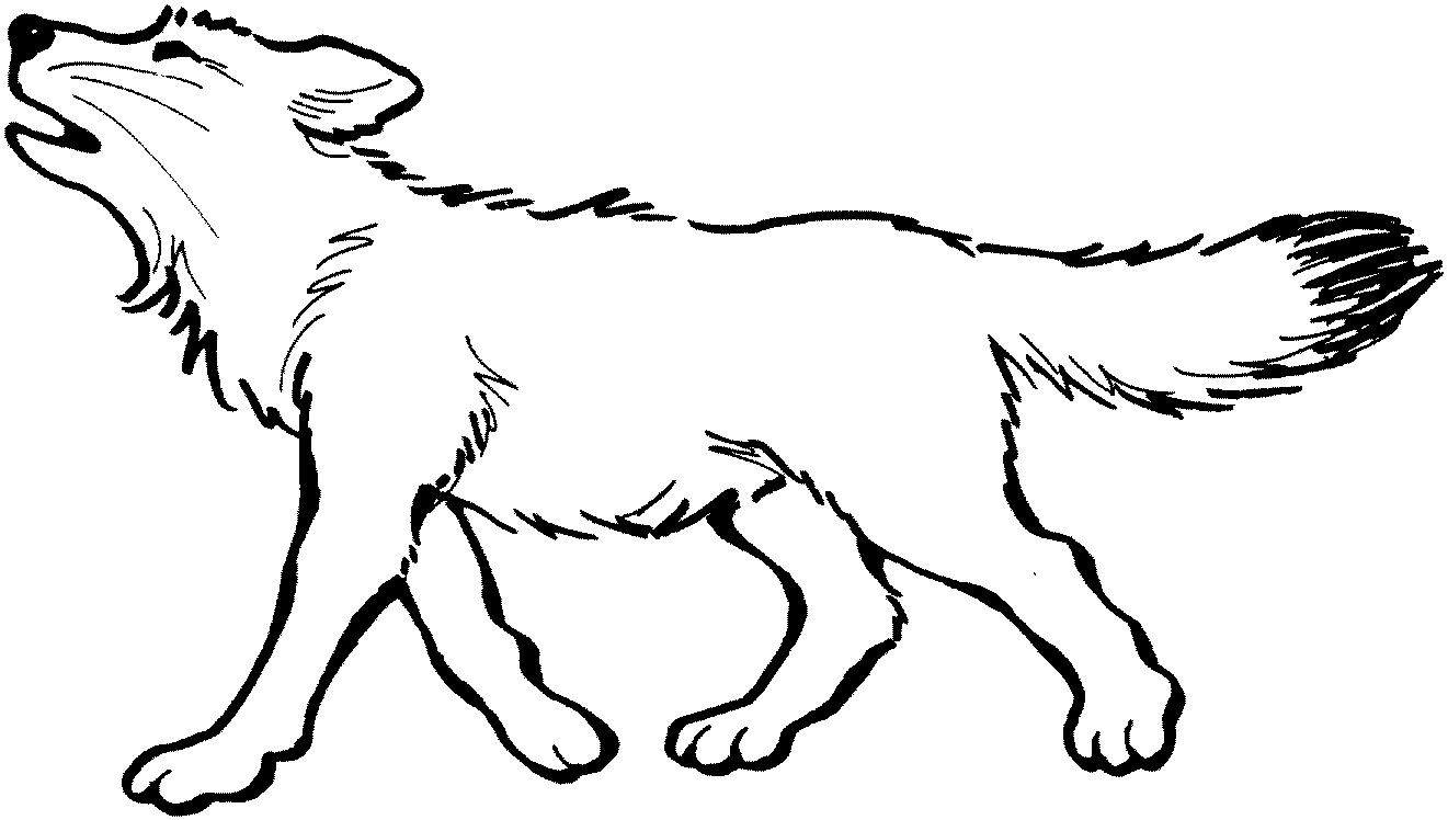 Wolf Coloring Pages