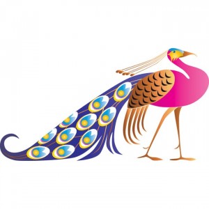 Peacock 1 Free Vector