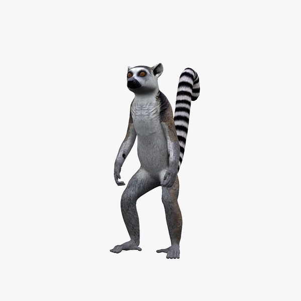 ring tailed lemur 3ds