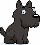 Dog Breeds | Cartoon and Clip Art Images