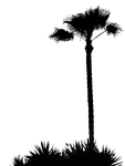 deviantART: More Like Palm Tree Silhouette pre cut PNG by