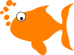 orange-fish-md.png