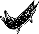 Mega Collection | Fish (2) - Lisa Cowden (Vector Art (Holmes ...