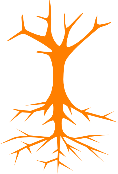 Root clip art - vector clip art online, royalty free &amp; public domain