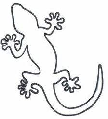 Lizard Outline Template Clipart - Free to use Clip Art Resource