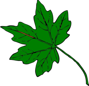 Green Maple Leaf Clipart - Free Clipart Images