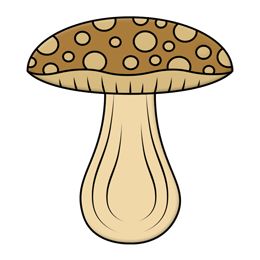 Cartoon Mushroom | Avatar Full ...