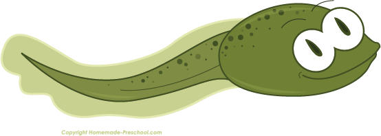 Tadpole Clipart