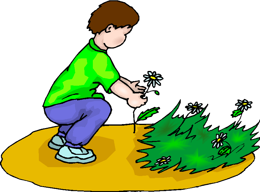 Free picks clipart - ClipartFox