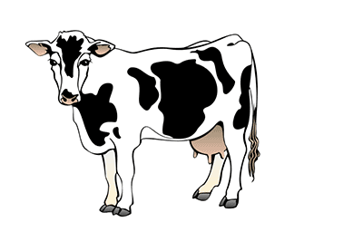 Funny Cute Cow Animation Gifs at Best Animations