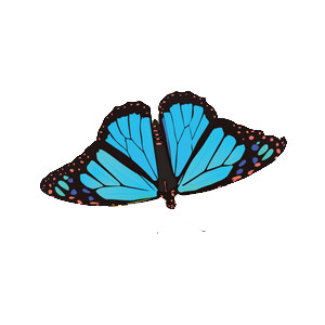 High resolution clipart images free