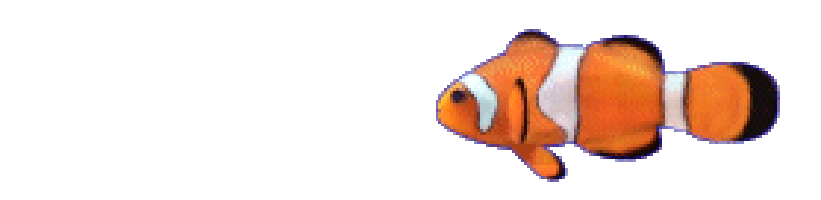 Clown Fish GIFs - Find & Share on GIPHY