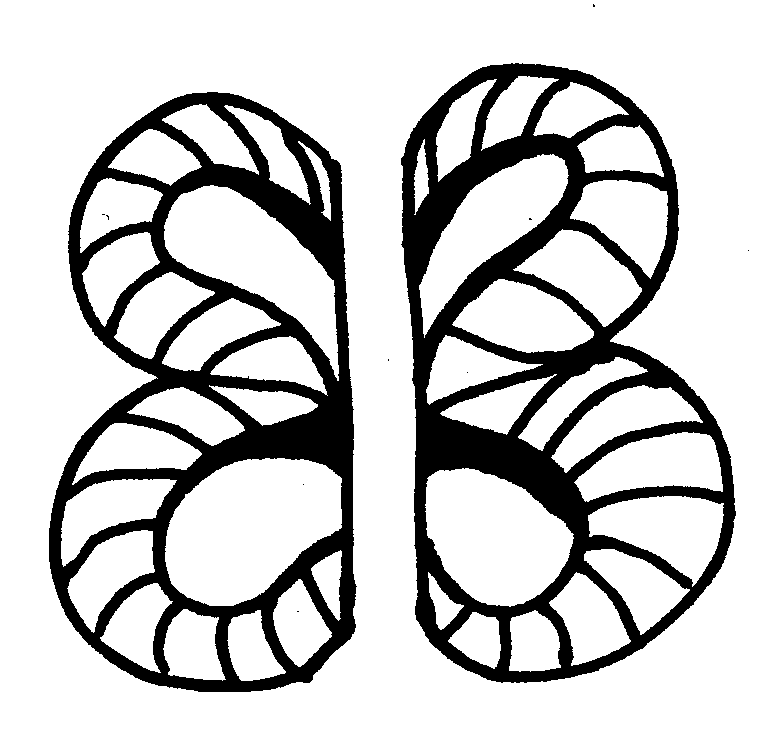 Chocolate Butterflies