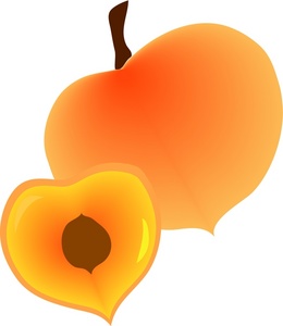 Peach clip art free vector 4vector - Clipartix