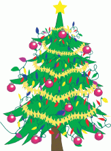 Pohon Cemara Sebagai Lambang Natal | Fir Tree