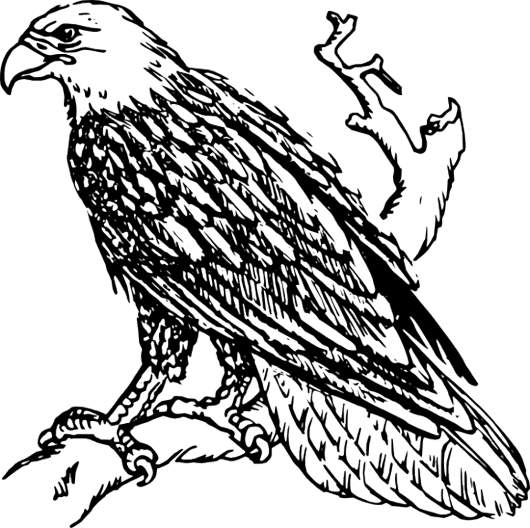 Eagle Clip Art Black and White – Clipart Free Download