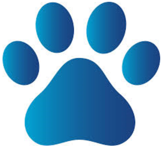 Can I use Heiro for Dogs if my dog is on medication? - HEIRO for Dogs
