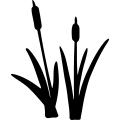 Cattails Clipart