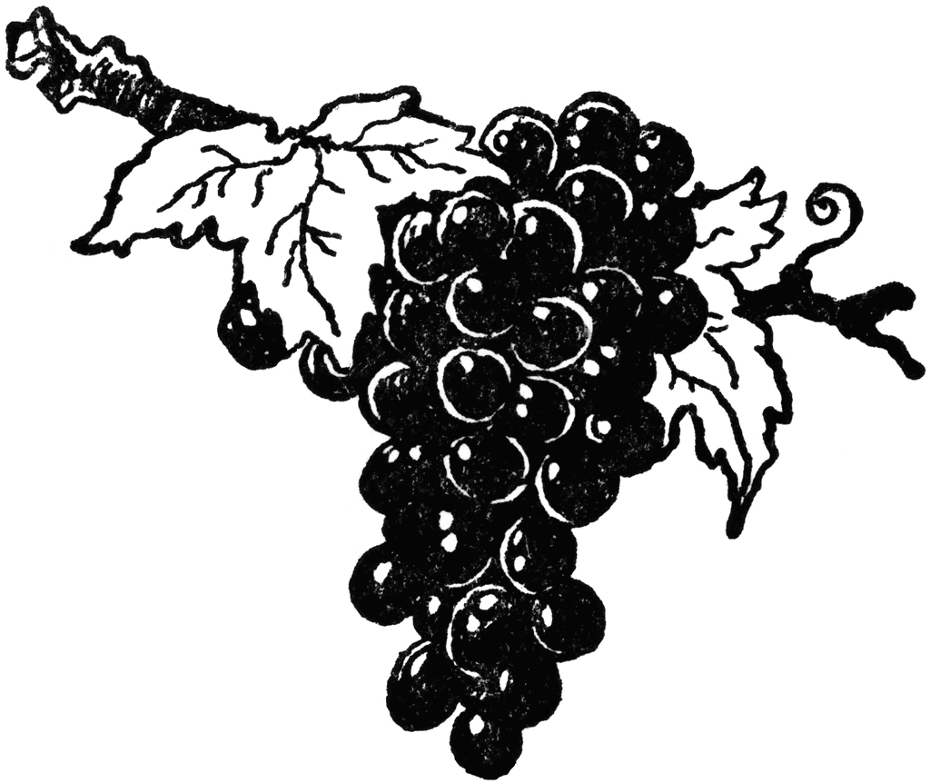 Green Grapes Pictures