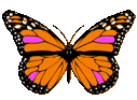 fast-butterfly-animated.gif