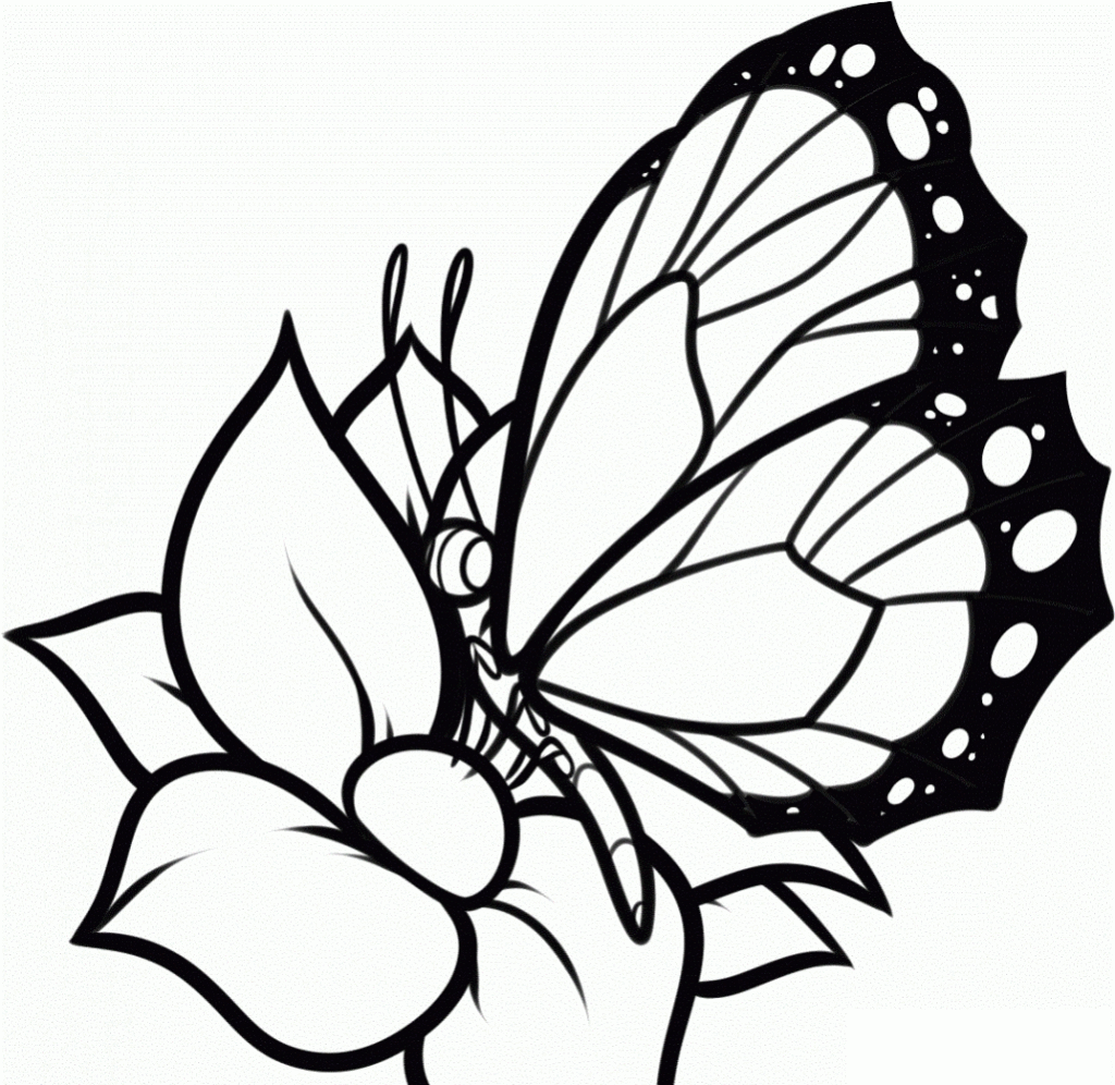 Coloring Pages: Hawaiian Flower Coloring Pages: Hawaiian Coloring ...