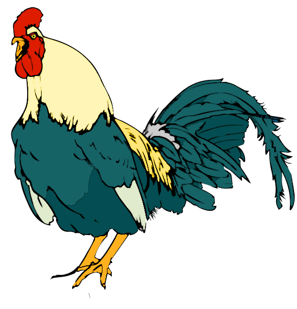 Artistic Rooster