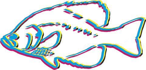 Fish, Flies & Water » Blog Archive » Drawing Fish 52 – 24_Crappie