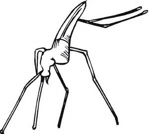 Coloring Pages Bugs - Allcolored.com
