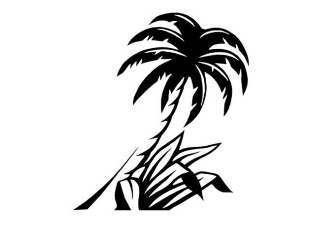 Steven Noble Illustrations: palm tree