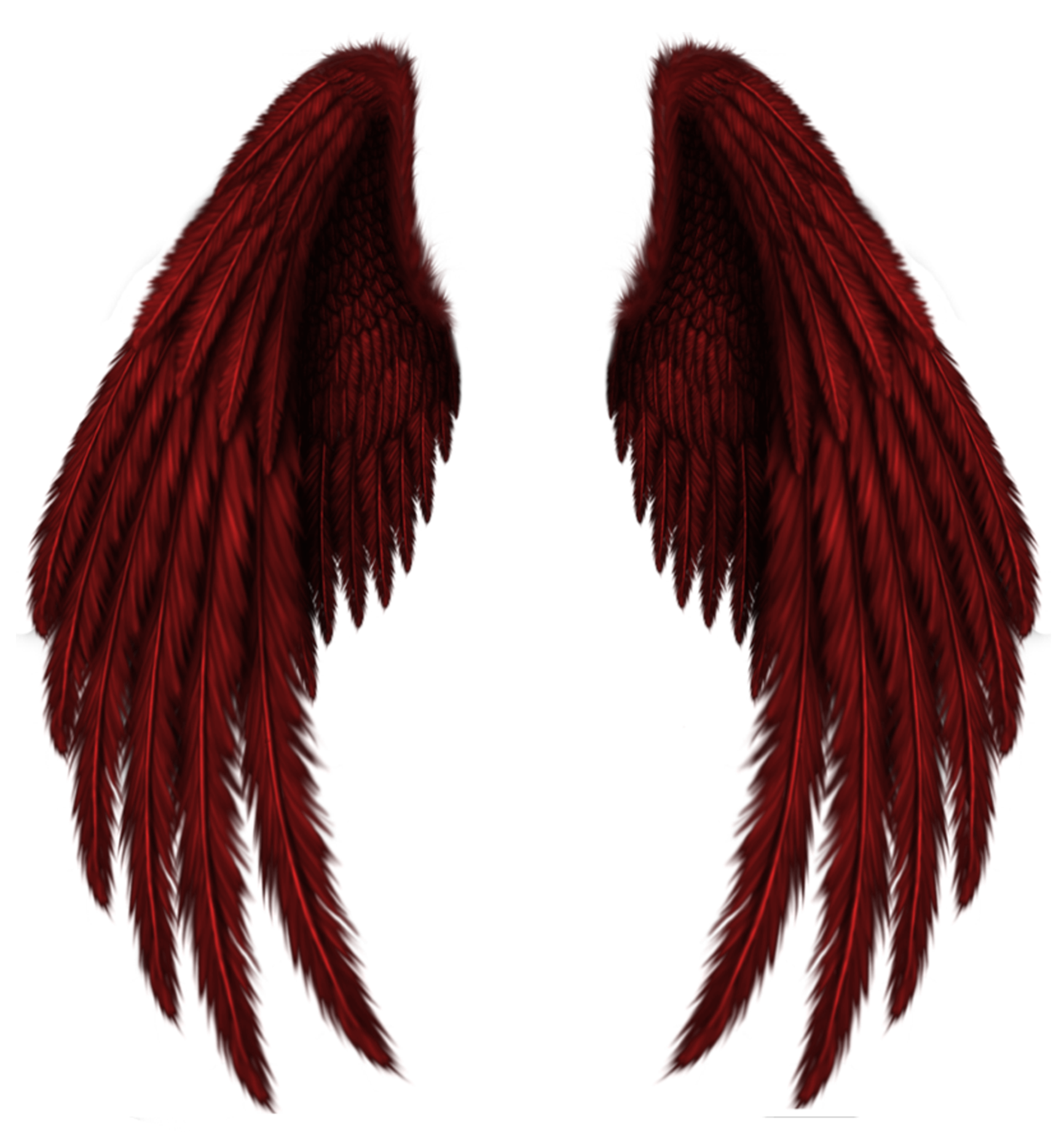 Transparent Red Wings PNG Clipart Picture