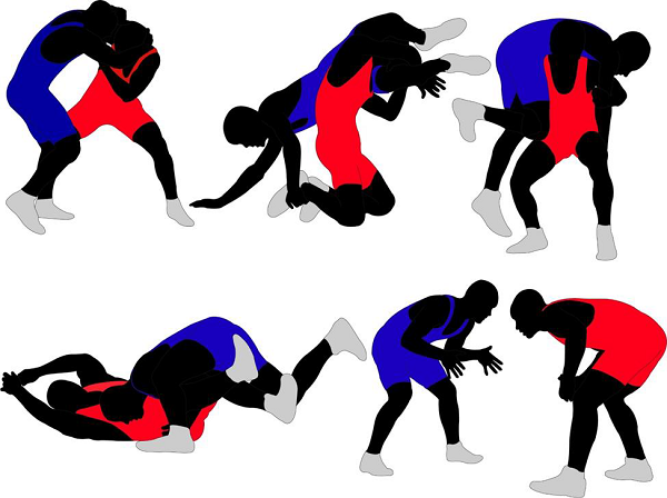 Wrestling Quick Guide