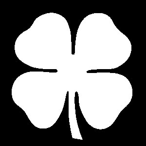 Apollo Design | Four Leaf Clover