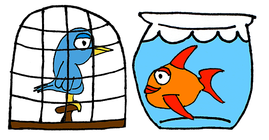 Birdcage or fishbowl? Buying a helmet and face mask | The Hockey Noob