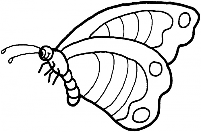 Butterfly coloring pictures | Super Coloring | - Part 2