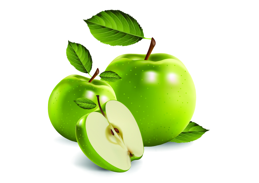 Ultrarealistic fruit vector Free Vector
