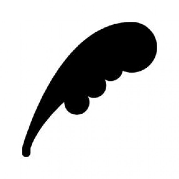 Quill | Photos and Vectors | Free Download