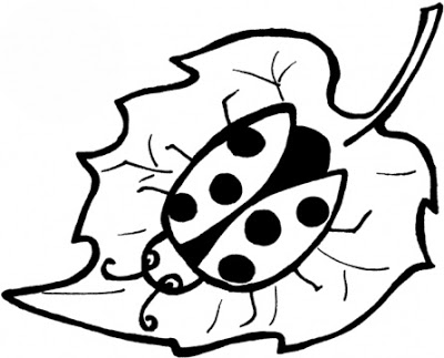 CLIP ART :: LINE DRAWING :: KINDERGARTEN WORKSHEET GUIDE ...