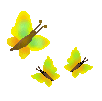 butterg1.gif