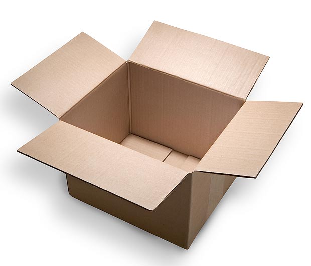 Kids say boxes are top Christmas pressies | The Sun