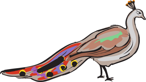 Peacock Border Clipart - Free Clipart Images