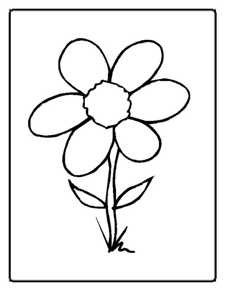Parts Of A Plant Coloring Pages Clipart - Free to use Clip Art ...