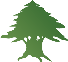 Cedar Tree - ClipArt Best