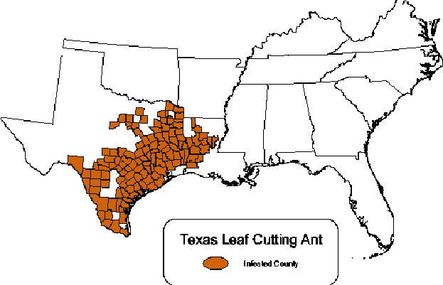 SFRA Chapter 17 (HLTH-2) - Impact of Pests on Forest Health