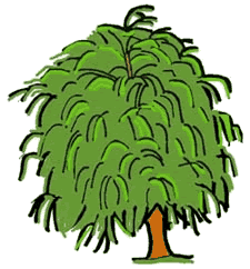 Willow tree clipart - ClipartFox