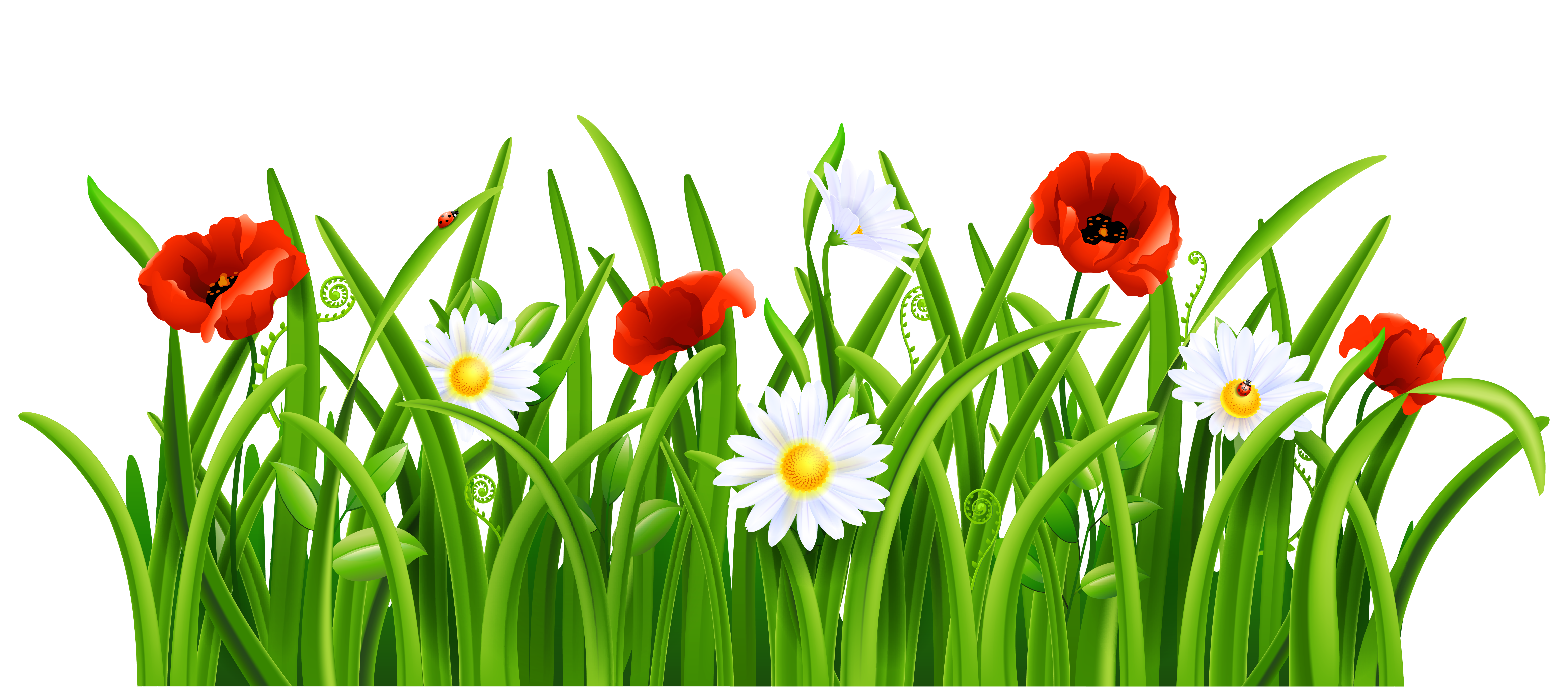 Grass Background Clipart Clipart - Free to use Clip Art Resource
